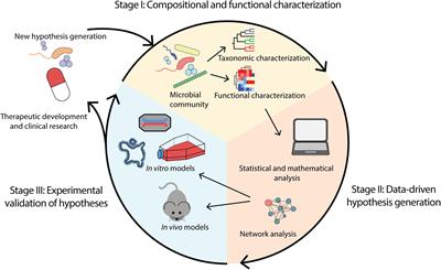 Frontiers | Key Technologies For Progressing Discovery Of Microbiome ...